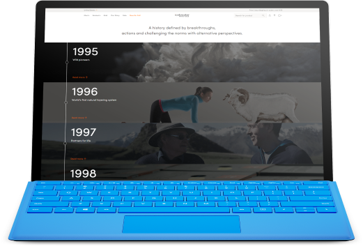 Microsoft Surface Pro 4 2